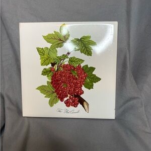 Vintage Portmeirion Pomona Ceramic Trivet with Red Currant Design